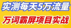 百度万词霸屏实操项目引流课,30天霸屏10万关键词外贸跨境出海-网赚项目-副业赚钱-互联网创业-外贸跨境出海-资源整合阿婆出海