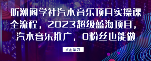 听潮阁学社汽水音乐项目实操课全流程,2023超级蓝海项目,汽水音乐推广,0粉丝也能做!外贸跨境出海-网赚项目-副业赚钱-互联网创业-外贸跨境出海-资源整合阿婆出海
