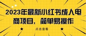 2023年最新小红书成人电商项目,简单易操作【详细教程】外贸跨境出海-网赚项目-副业赚钱-互联网创业-外贸跨境出海-资源整合阿婆出海