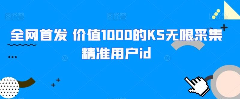 全网首发 价值1000的KS无限采集精准用户id外贸跨境出海-网赚项目-副业赚钱-互联网创业-外贸跨境出海-资源整合阿婆出海