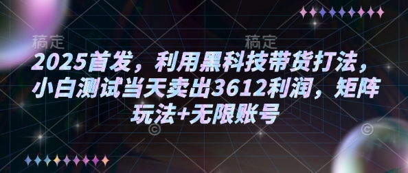 2025首发,利用黑科技带货打法,小白测试当天卖出3612利润,矩阵玩法+无限账号外贸跨境出海-网赚项目-副业赚钱-互联网创业-外贸跨境出海-资源整合阿婆出海