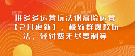 拼多多运营玩法课高阶运营【2月更新】,极致群爆款玩法,轻付费无尽复制等外贸跨境出海-网赚项目-副业赚钱-互联网创业-外贸跨境出海-资源整合阿婆出海