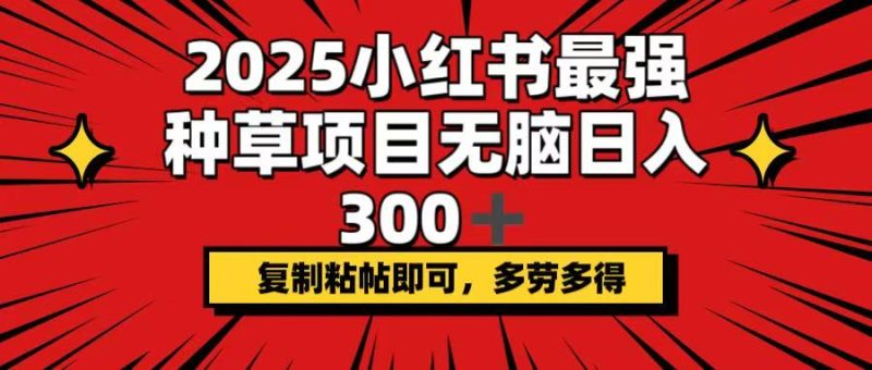2025小红书最强种草项目，无脑日入300+，复制粘帖即可，多劳多得外贸跨境出海-网赚项目-副业赚钱-互联网创业-外贸跨境出海-资源整合阿婆出海