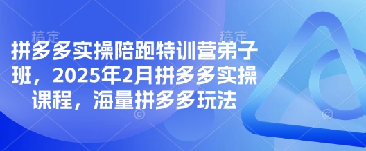 拼多多实操陪跑特训营弟子班,2025年2月拼多多实操课程,海量拼多多玩法外贸跨境出海-网赚项目-副业赚钱-互联网创业-外贸跨境出海-资源整合阿婆出海