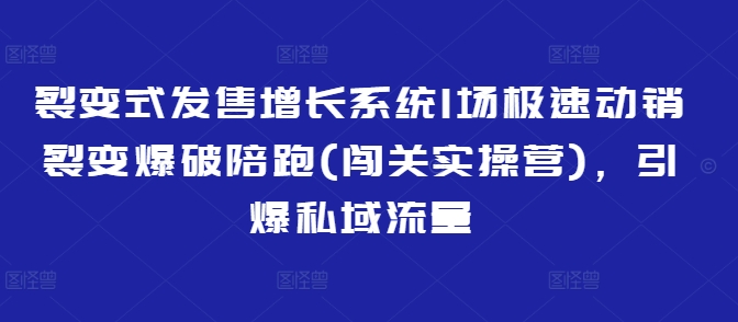 裂变式发售增长系统1场极速动销裂变爆破陪跑(闯关实操营),引爆私域流量外贸跨境出海-网赚项目-副业赚钱-互联网创业-外贸跨境出海-资源整合阿婆出海