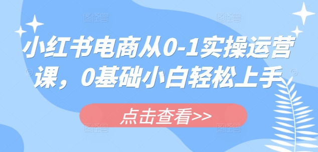 小红书电商从0-1实操运营课，0基础小白轻松上手外贸跨境出海-网赚项目-副业赚钱-互联网创业-外贸跨境出海-资源整合阿婆出海