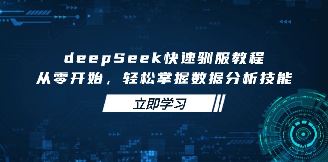 deepSeek快速驯服教程,从零开始,轻松掌握数据分析技能外贸跨境出海-网赚项目-副业赚钱-互联网创业-外贸跨境出海-资源整合阿婆出海