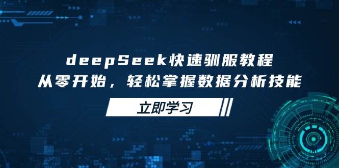 deepSeek快速驯服教程,从零开始,轻松掌握数据分析技能外贸跨境出海-网赚项目-副业赚钱-互联网创业-外贸跨境出海-资源整合阿婆出海
